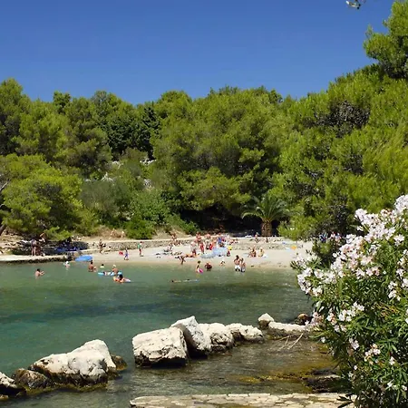 Hvar Your Perfect